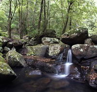 Kangaroo River - Accommodation BNB