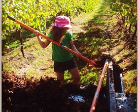 East Gippsland Wines - Accommodation BNB 5