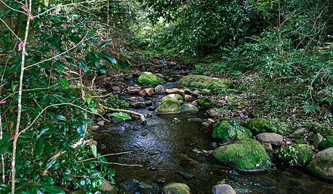 Macquarie Pass National Park - Accommodation BNB 0