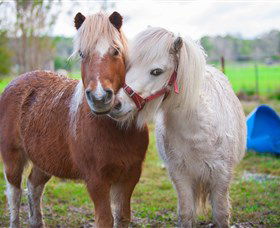Amazement Farm And Fun Park / Cafe And Farmstay Accommodation - Accommodation BNB 5