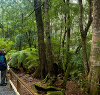 Monga National Park - Accommodation BNB