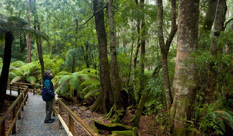 Monga National Park - Accommodation BNB 0
