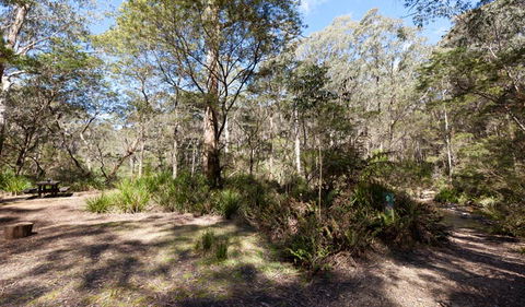 Monga National Park - Accommodation BNB 1