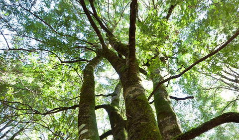 Monga National Park - Accommodation BNB 3