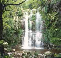 Budderoo National Park - The Falls Walk - Accommodation BNB