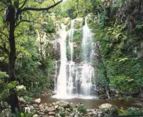 Budderoo National Park - The Falls Walk - Accommodation BNB 0