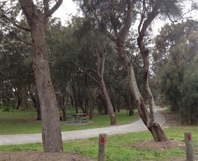 Tuggerah Lakes Cycleway - Accommodation BNB 2