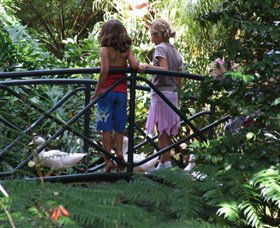 EG Waterhouse National Camellia Garden - Accommodation BNB 0