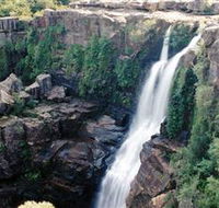 Minnamurra Rainforest Centre Budderoo National Park - Accommodation BNB