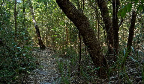 Wyrrabalong National Park - Accommodation BNB 2