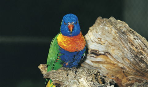 Wyrrabalong National Park - Accommodation BNB 1