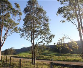 Tourist Drive 2 - Bucketts Way - Accommodation BNB 1