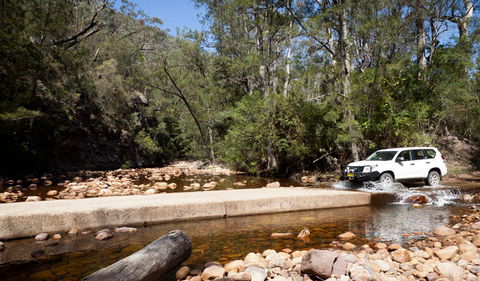 Wadbilliga Road Drive - Accommodation BNB 2