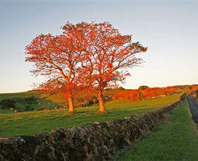 Saddleback Mountain Lookout - Accommodation BNB 2