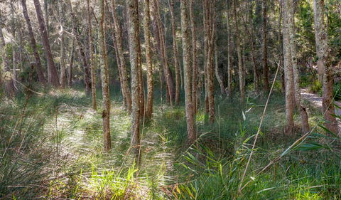Anabranch Loop Track - Accommodation BNB 0