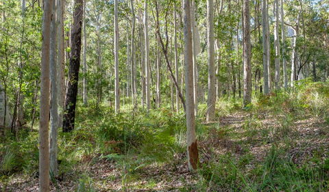 Anabranch Loop Track - Accommodation BNB 2