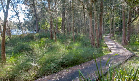 Anabranch Loop Track - Accommodation BNB 3