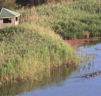 Spring Creek Bird Hide - Accommodation BNB