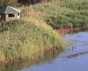 Spring Creek Bird Hide - Accommodation BNB 0