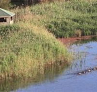Spring Creek Wetlands Walk - Accommodation BNB