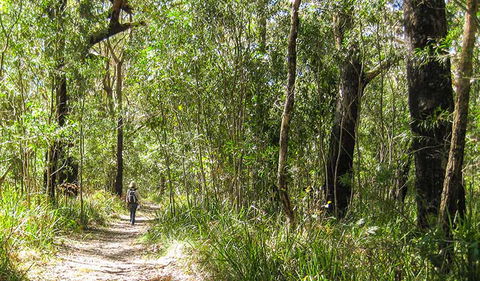 Seven Mile Beach National Park - Accommodation BNB 2