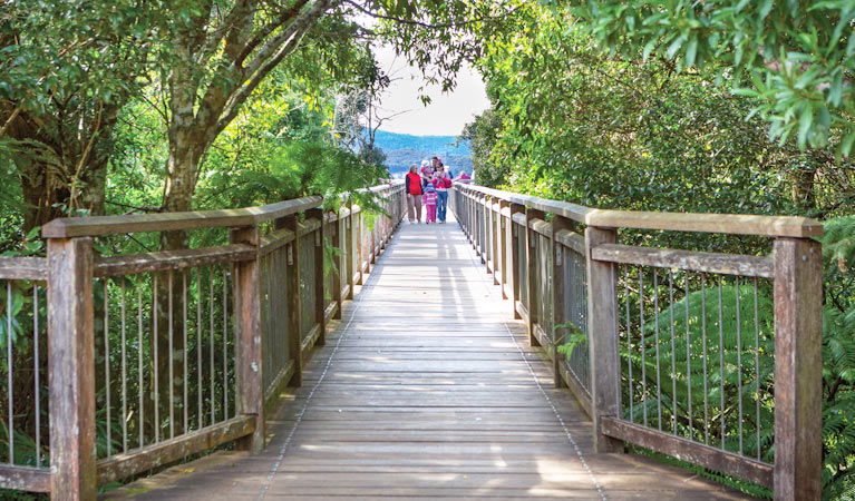 Dorrigo Mountain NSW Accommodation BNB