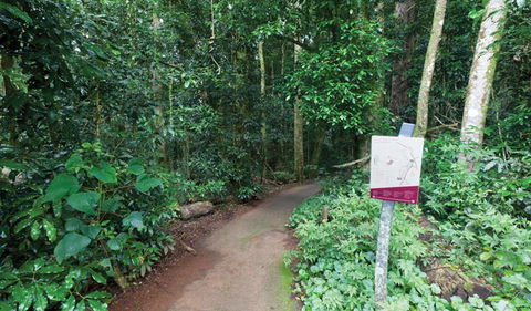 Walk With The Birds Boardwalk - Accommodation BNB 0