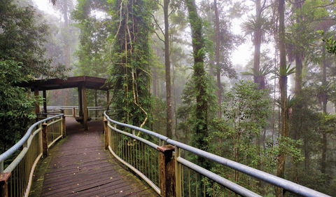 Walk With The Birds Boardwalk - Accommodation BNB 3