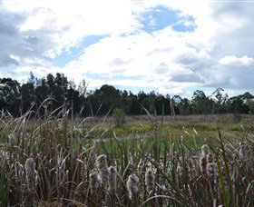 Jabiru Geenbeebeinga Wetlands - Accommodation BNB 1
