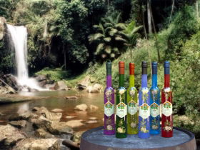 Tamborine Mountain Distillery - Accommodation BNB 2