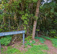 Falcorostrum loop walking track - Accommodation BNB