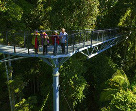 Tamborine Rainforest Skywalk - Accommodation BNB 1