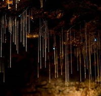Tamborine Mountain Glow Worm Caves - Accommodation BNB