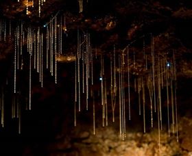 Tamborine Mountain Glow Worm Caves - Accommodation BNB 0