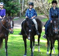 Kings Creek Saddle Club - Accommodation BNB