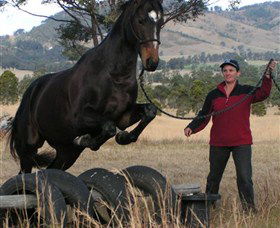 Kings Creek Saddle Club - Accommodation BNB 5