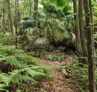 Durras Lake Discovery trail - Accommodation BNB