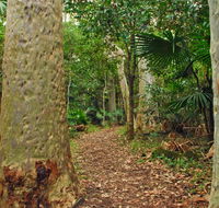 Depot Beach Rainforest walk - Accommodation BNB