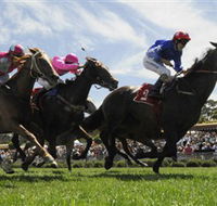 Moruya Racecourse - Accommodation BNB