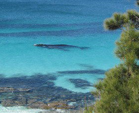 Jervis Bay Marine Park - Accommodation BNB 0