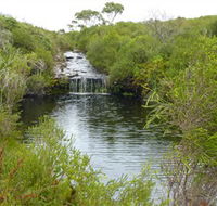 Booderee National Park Green Patch and Telegraph Creek Walking Tracks - Accommodation BNB