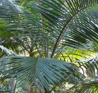 Bangalore Falls walking track - Accommodation BNB