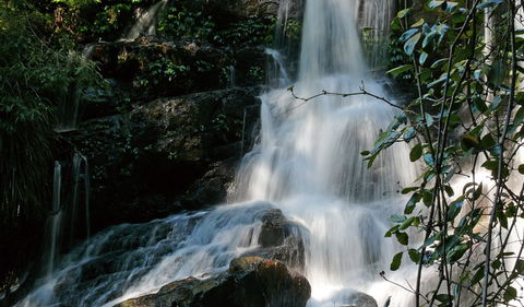 Bangalore Falls Walking Track - Accommodation BNB 3