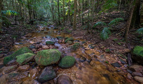 Starrs Creek Picnic Area - Accommodation BNB 0