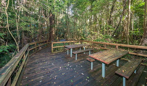 Starrs Creek Picnic Area - Accommodation BNB 1
