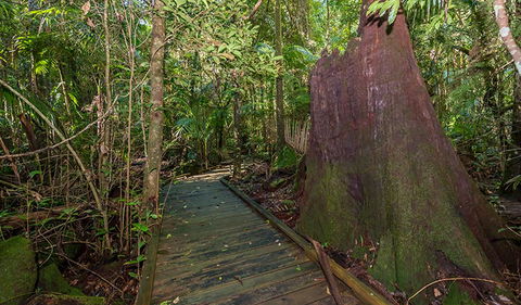 Starrs Creek Picnic Area - Accommodation BNB 2