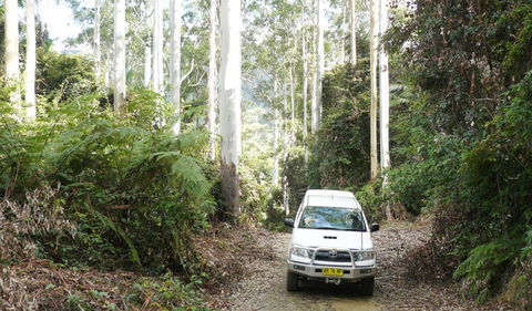 Bindarri National Park - Accommodation BNB 2