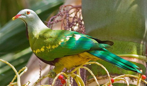 Bindarri National Park - Accommodation BNB 3