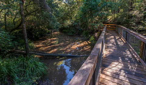 Ms Kellys Walking Track - Accommodation BNB 0