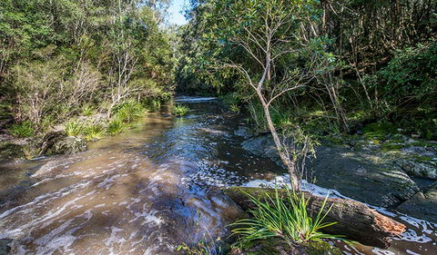 Brimbin Picnic Area - Accommodation BNB 2